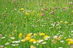 ���� ���������������� ��� ������ ��������� ������������� ��������