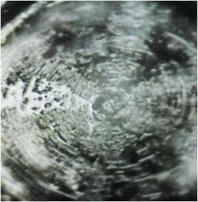 ����� � ����� ���� �����