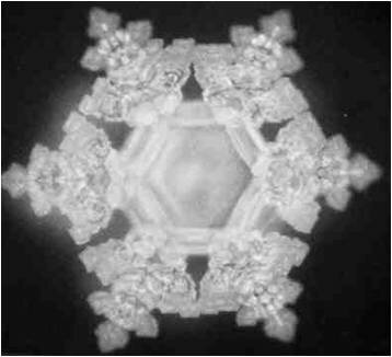 �� ��������