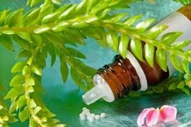 ��������� � ���������� � ������� ���������������� �����������