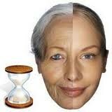 ������ ���������� ����������� ����������� ������������ �������