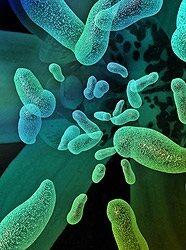 ��� ����� ������������ � ��� � ��� �������� ��� ������������