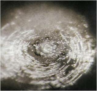 �� �����