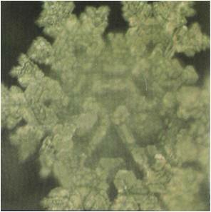 �������� �������