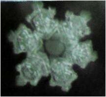 �������� �������